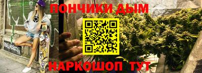 сатива Гай