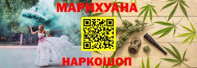 сатива Гай