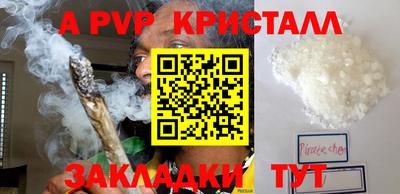 сатива Гай