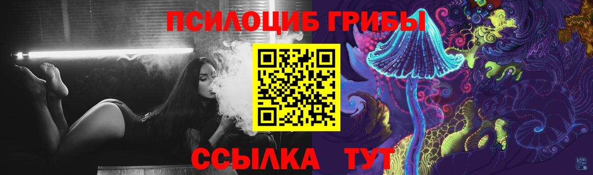 Галлюциногенные грибы Psilocybine cubensis Белебей